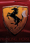 Bericht Prancing Horse Ferrari 500 TRC