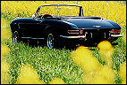 Ferrari 330 GTS